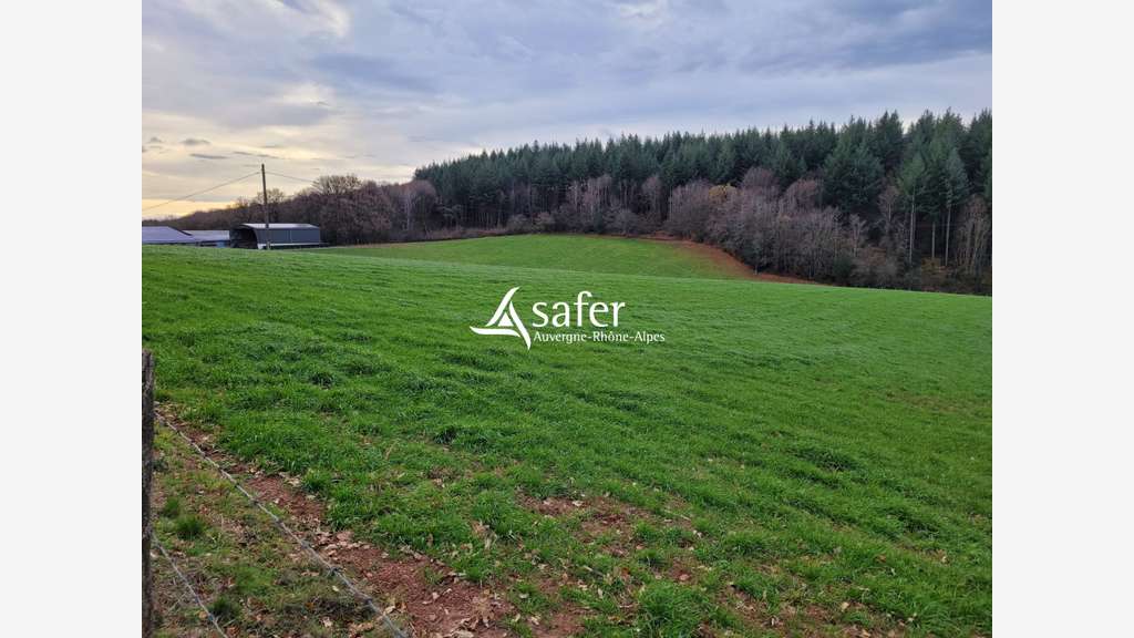 Vente exploitation agricole structure intégrale 15