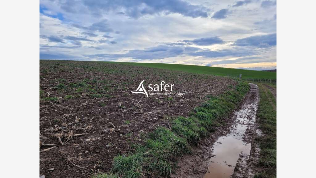 Vente exploitation agricole structure intégrale 15
