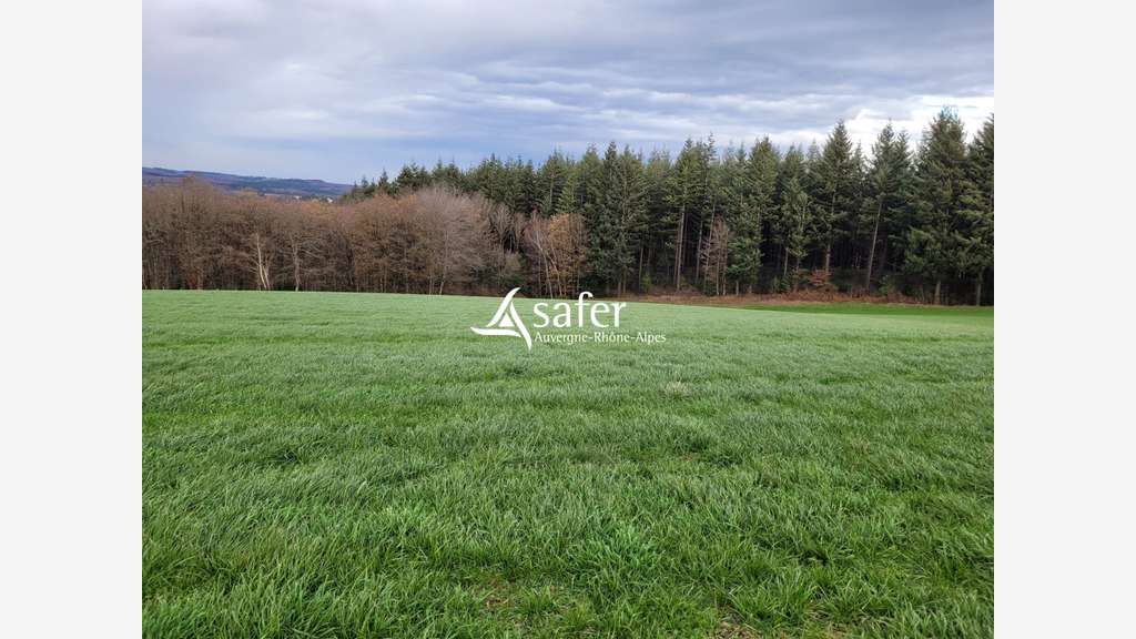 Vente exploitation agricole structure intégrale 15