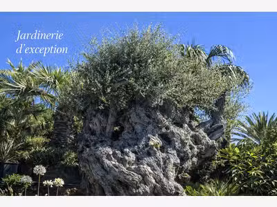 AV parts sociales jardinerie rentable Ste Maxime