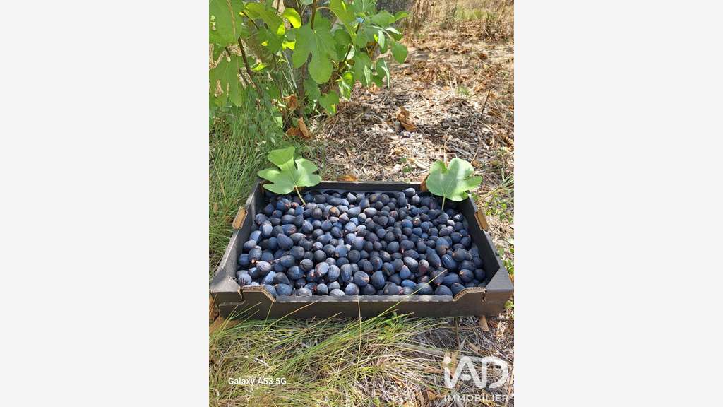 Vente propriété agricole arboricole 2.3ha Tourbes