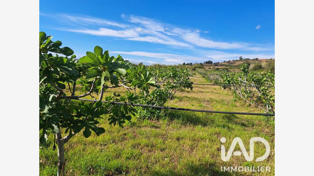 Vente propriété agricole arboricole 2.3ha Tourbes