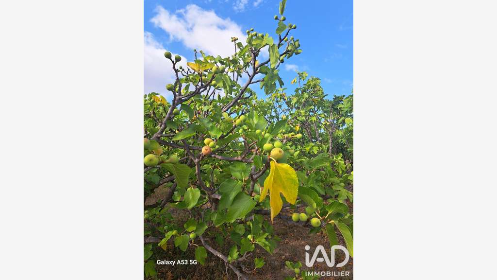 Vente propriété agricole arboricole 2.3ha Tourbes