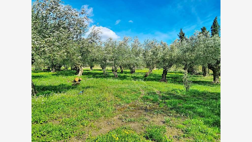 AV domaine viticole en agriculture bio Tourouzelle