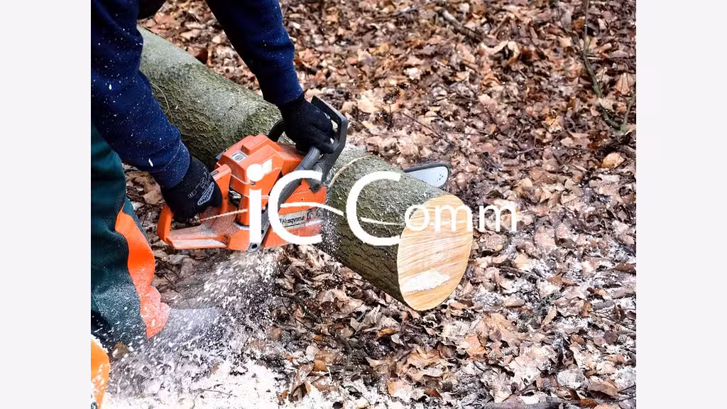 Vente fonds artisanal découpe et négoce de bois 05