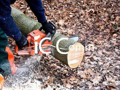 Vente fonds artisanal découpe et négoce de bois 05
