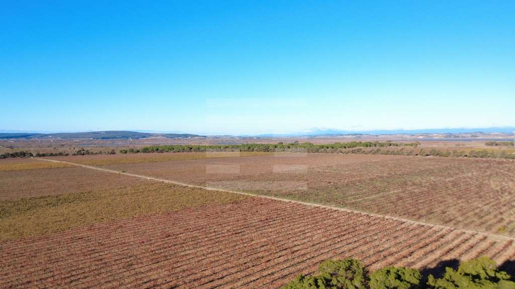 Ilot viticole 17ha irriguée à vendre sur Béziers