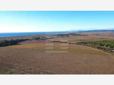 Ilot viticole 17ha irriguée à vendre sur Béziers