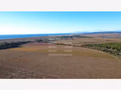 Ilot viticole 17ha irriguée à vendre sur Béziers