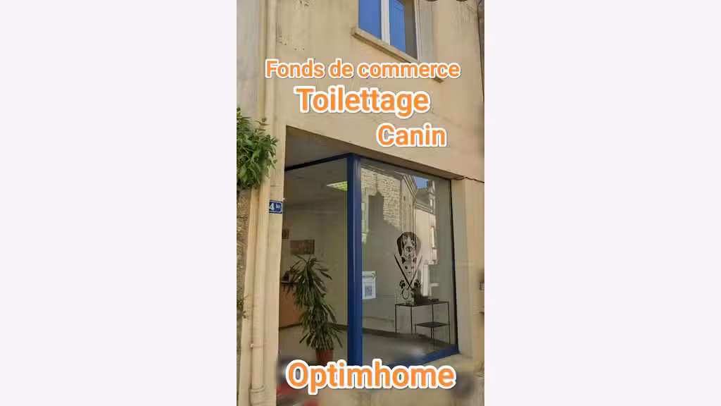 A vendre salon de toilettage à Questembert