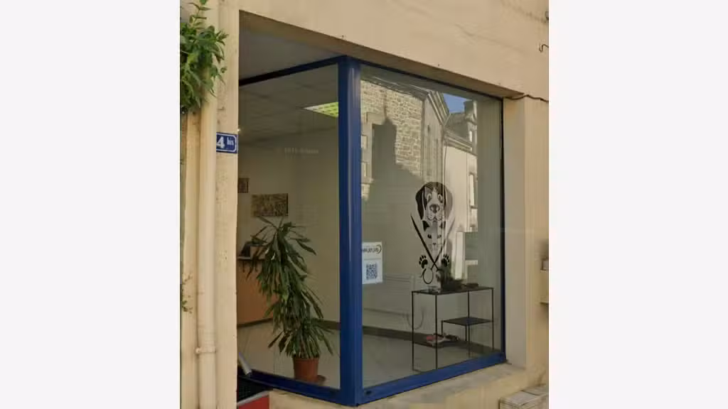 A vendre salon de toilettage à Questembert