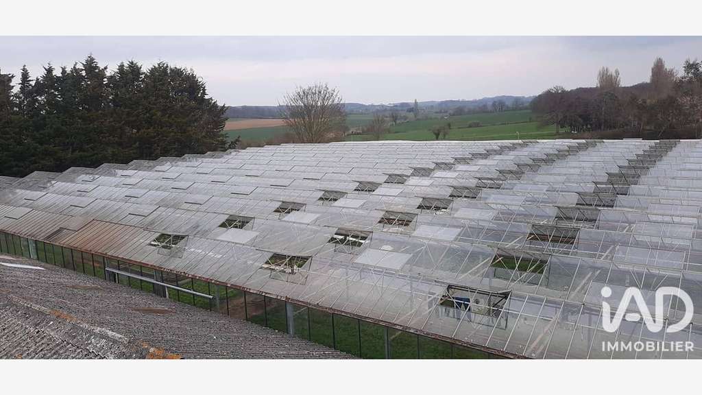 Exploitation maraîchère bio à Chantenay-Villedieu