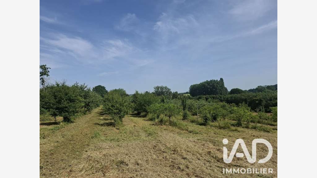 Exploitation maraîchère bio à Chantenay-Villedieu