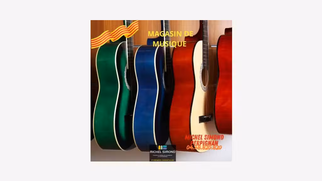 Vente magasin instruments/articles de musique