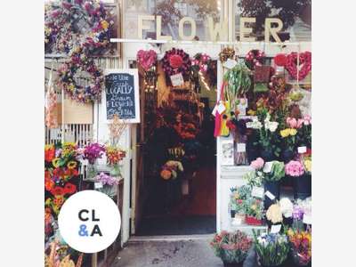 Vente FDC fleuriste sur le plateau Nord de Rouen
