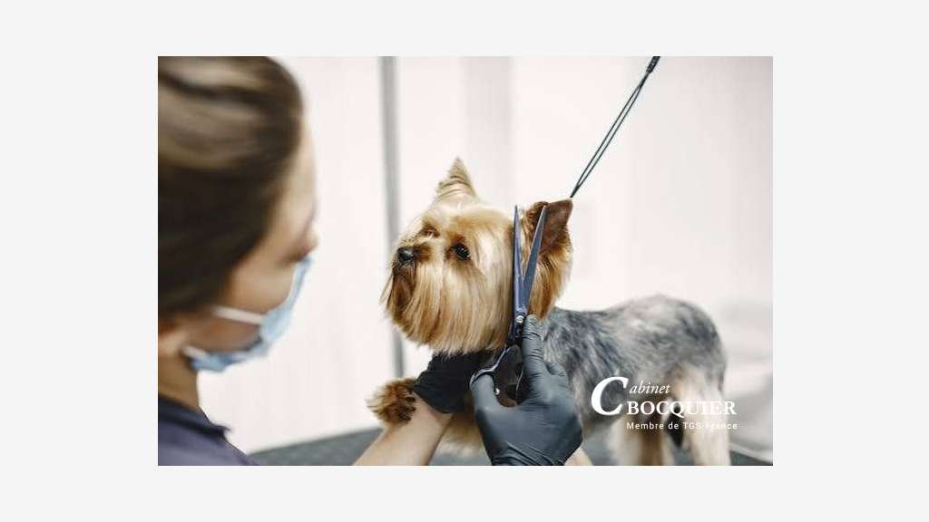 Vente salon de toilettage chiens et chats dept 44
