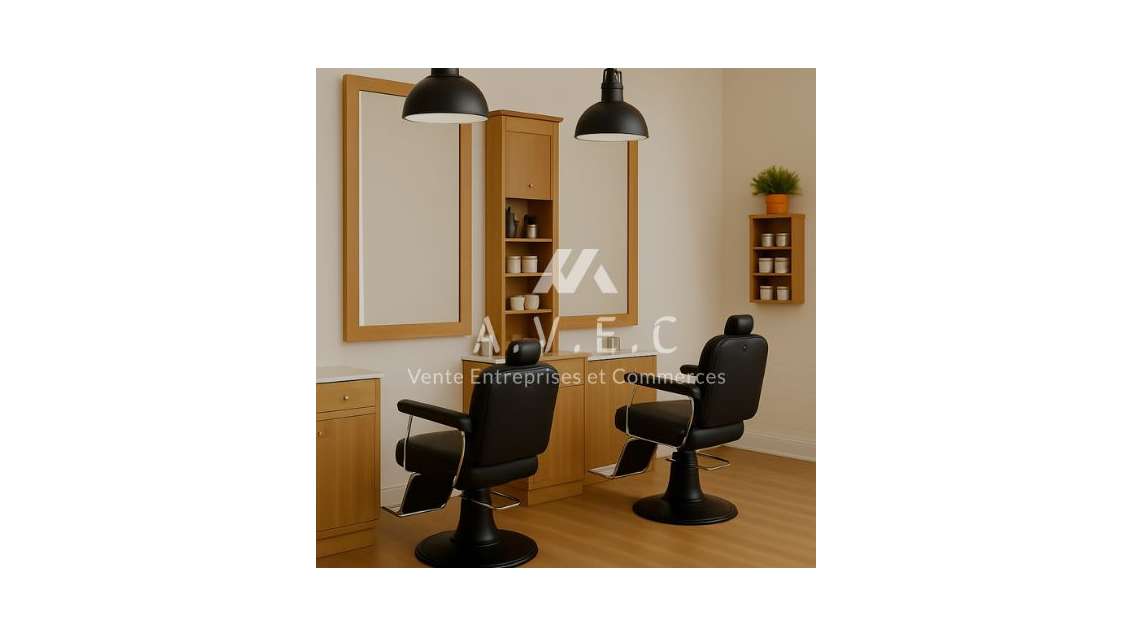 Vends salon de coiffure murs et fonds Camargue