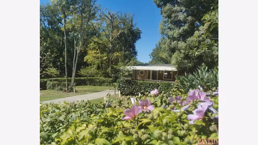 VILLAGE DE CHALETS en AUVERGNE sur EMP. N° 1
