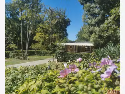 VILLAGE DE CHALETS en AUVERGNE sur EMP. N° 1