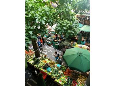 Vente Alimentation à Arcachon