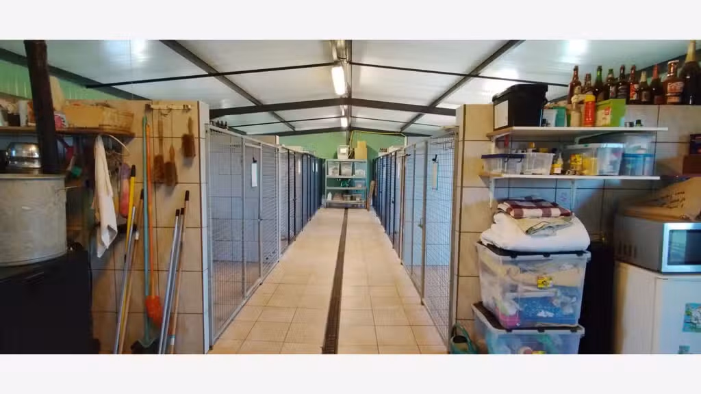 Vente FDC pension canine à 40 min de Dijon