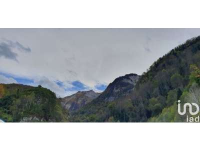 Vente Divers Commerces à Eaux-Bonnes