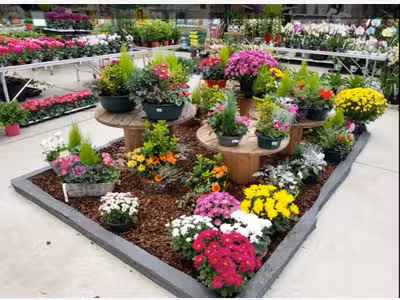 Jardinerie à vendre sur axe très passant 41
