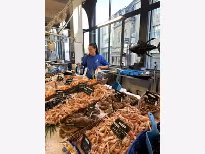 Poissonnerie à vendre Halles d'Auray et Belz