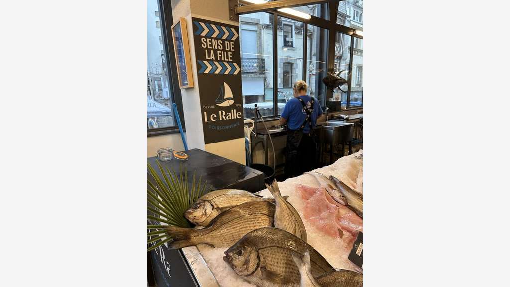 Poissonnerie à vendre Halles d'Auray et Belz