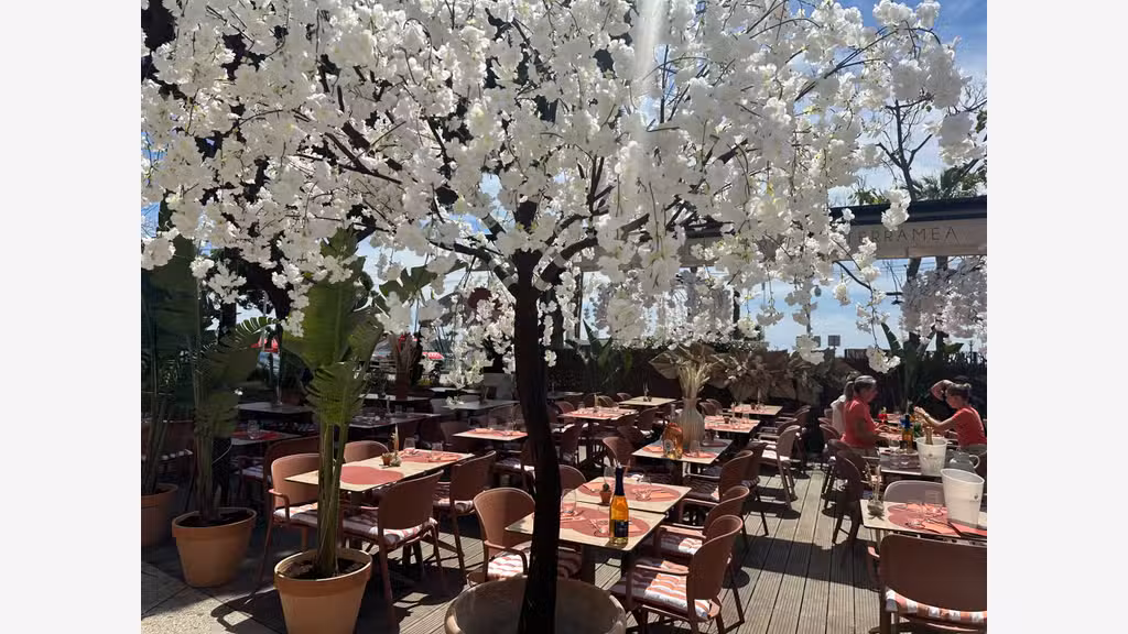 Brasserie sur le port de Bandol