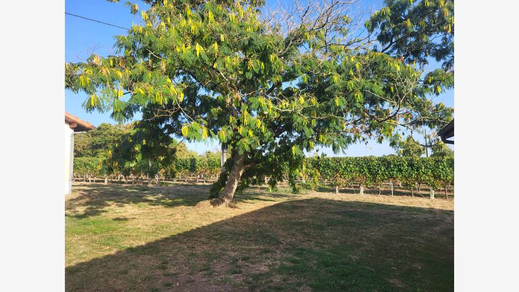 Vente domaine de 30 gites meubles tourismes