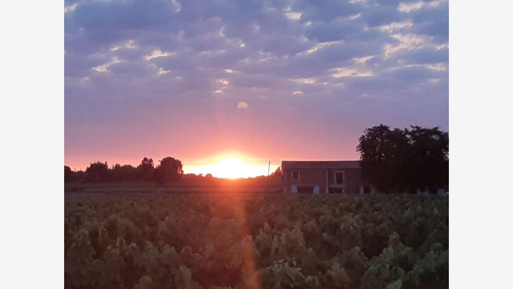 💰 Domaine de Gîtes rentable +10 % – 11 logements