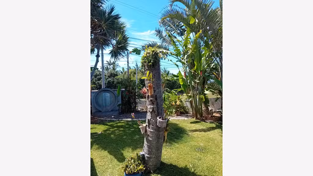 Vds Villa 5 chambres d'hôtes St Pierre La Réunion