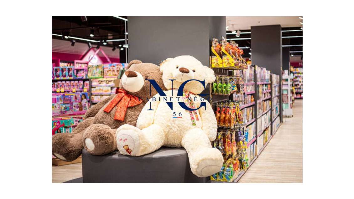 Vente magasin de jeux et jouets en Morbihan Sud