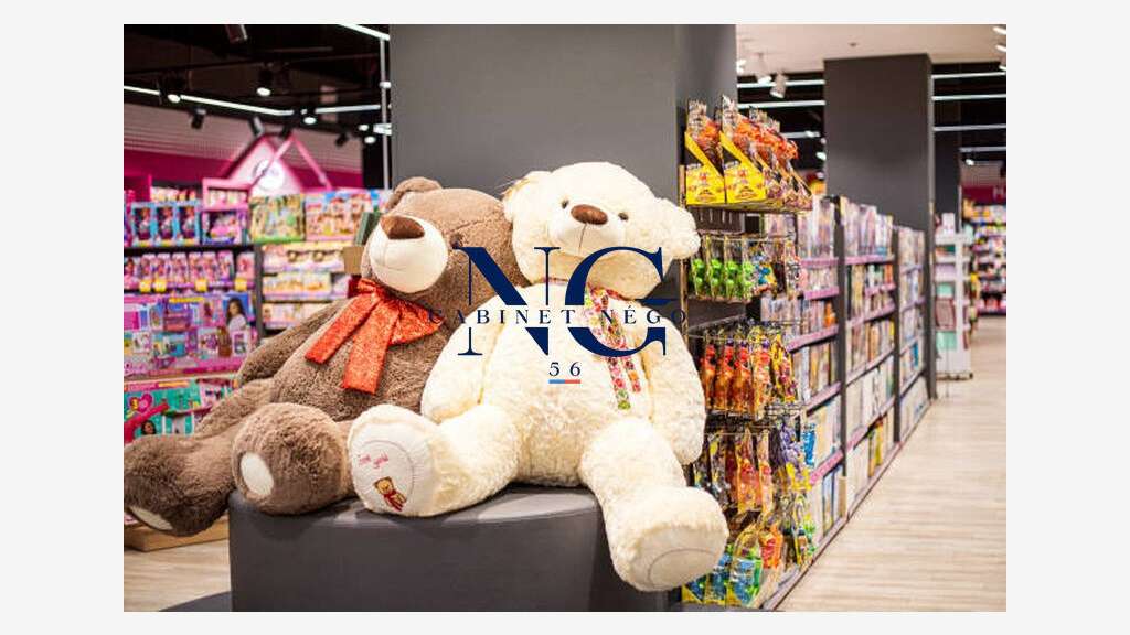 Vente magasin de jeux et jouets en Morbihan Sud