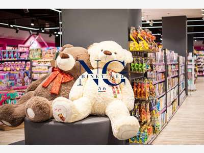 Vente magasin de jeux et jouets en Morbihan Sud