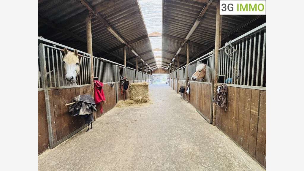 Vente propriété équestre sur Villers Cotterêts
