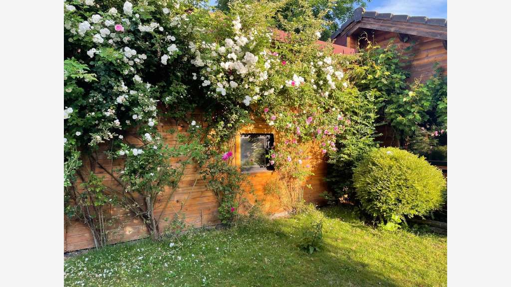 Vente propriété équestre sur Villers Cotterêts