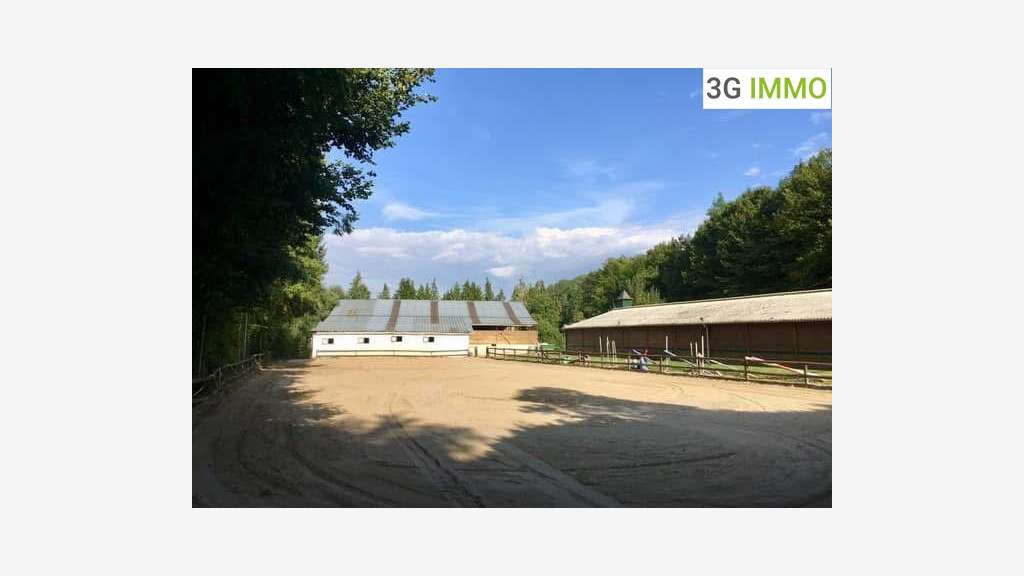 Vente propriété équestre sur Villers Cotterêts