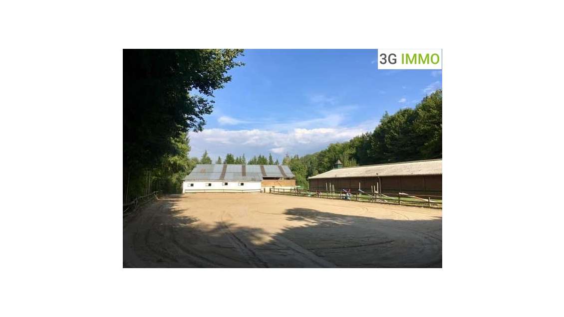 Vente propriété équestre sur Villers Cotterêts