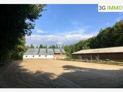 Vente propriété équestre sur Villers Cotterêts