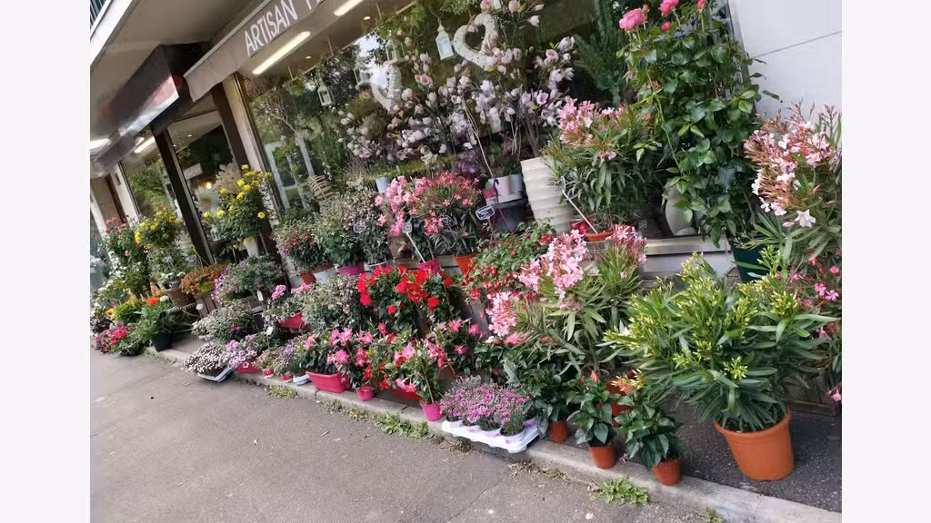 FLEURISTE ENTREE VILLE  BRUNOY 91