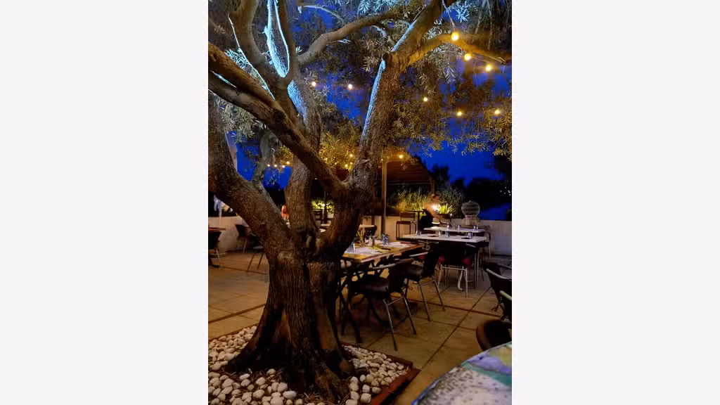Camping-Village vacances-Restaurant Sud France