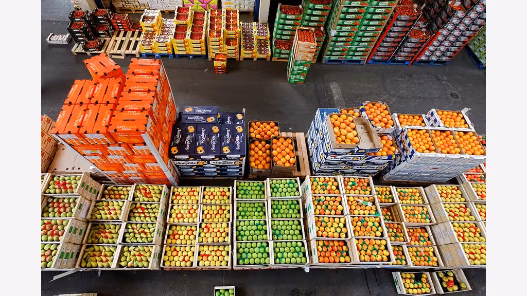 Entreprise Grossiste fruits et légumes