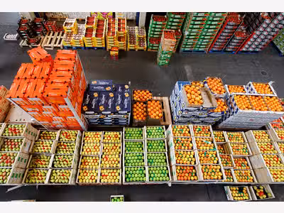 Entreprise Grossiste fruits et légumes