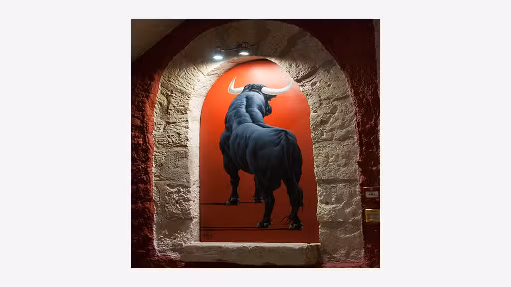 Hôtel historique à reprendre dans le Gard