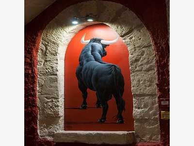 Hôtel historique à reprendre dans le Gard