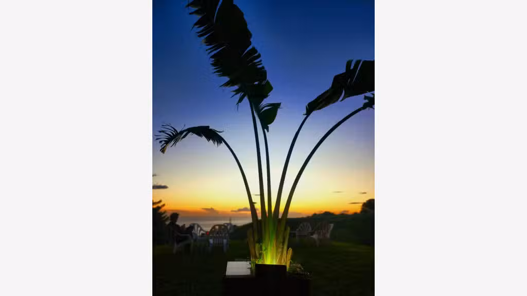Restaurant spécialités japonaises Nord Martinique