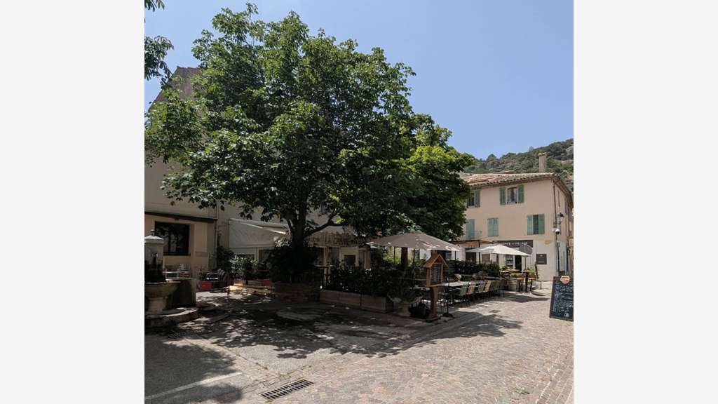Vend fonds commerce restaurant Golfe de St Tropez