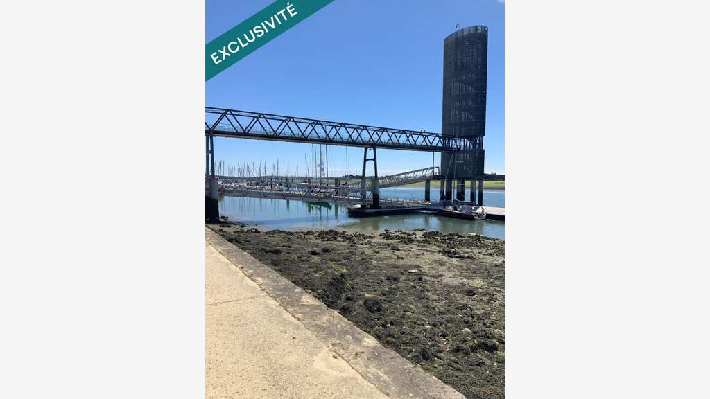 Très belle affaire de vente de bateaux ( 